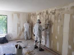 Mold Odor Removal Services in Rapid City, SD